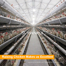 Fabricante de equipos para aves de corral Tianrui Layer Poultry Farm House Design